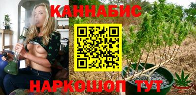 шишки Обь