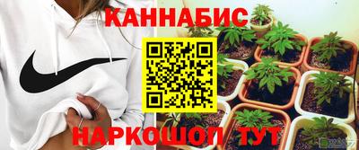 шишки Обь