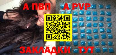 шишки Обь