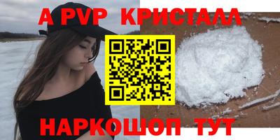 шишки Обь