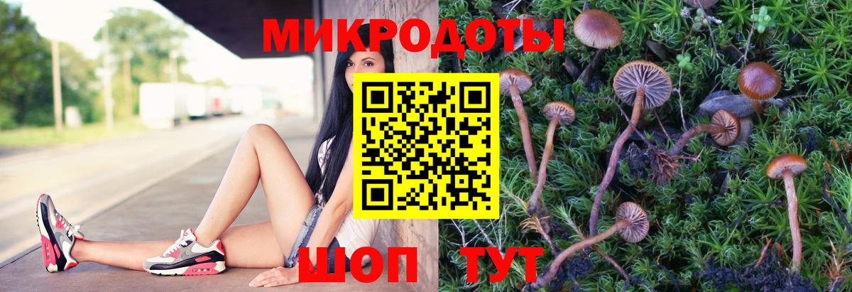 Галлюциногенные грибы Magic Shrooms Ногинск