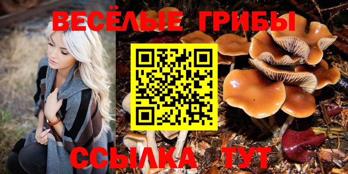Галлюциногенные грибы мицелий  Галлюциногенные грибы ЛСД  Ногинск  Вход с VPN 
